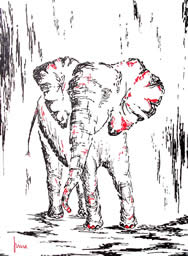 Kunstkarte - Motiv: Babyelefant